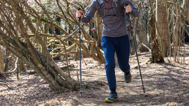 山好きは必見】ワークマン2025春夏新作「プレミアム超撥水ソフトシェルトレックライトパンツ」レビュー:サラッと快適、動きやすく、デザインも◎。ランからハイクまでお任せの一本