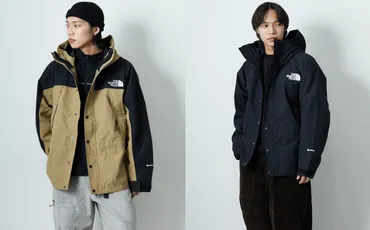 ノースフェイス マウンテンライトジャケット