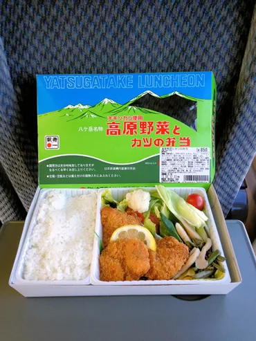 小淵沢駅の駅弁『高原野菜とカツの弁当』の魅力とは？ロングセラー駅弁『高原野菜とカツの弁当』のこだわり