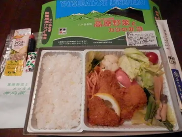 高原野菜とカツの弁当・小淵沢駅弁［駅弁の小窓］