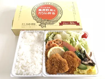 高原野菜とカツの弁当（丸政） : 駅弁を食べたら書くブログ（仮）