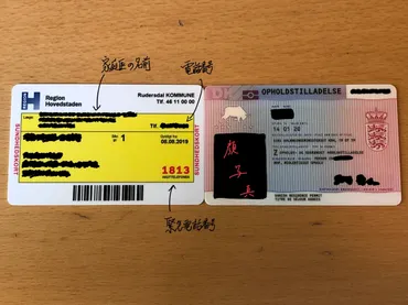 デンマーク留学】現地での手続き (CPRナンバー，住民カード ...