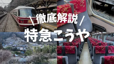 大阪から高野山を繋ぐ特急「こうや」を徹底解説！おすすめの座席 ...