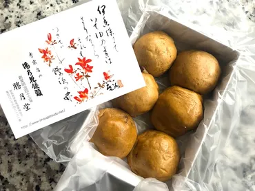 温泉まんじゅう発祥の店！勝月堂の「湯乃花饅頭」は並んでも食べ ...