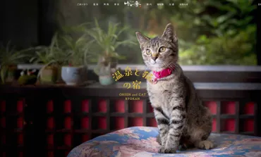 猫と温泉と昭和レトロ：別府温泉の隠れ家「かんなわ ゆの香」ってどんな宿？猫と温泉と昭和レトロが融合した癒やしの空間