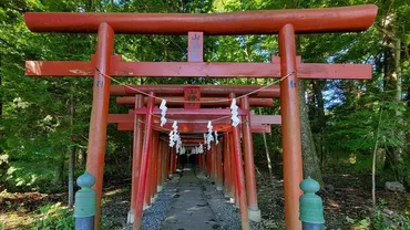 山梨県富士吉田市 新屋山神社】金運アップのパワースポット参詣 