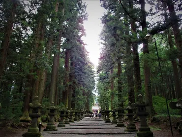 これぞ神域！「北口本宮冨士浅間神社」で深山幽谷の雰囲気を味わう 