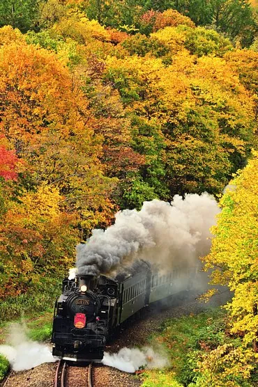 絶景の紅葉と鉄道のコラボ 鉄道写真家が注目ポイントを解説 ...