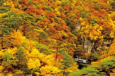 vol.4 息をのむほど美しい 絶景紅葉路線 – SANYO CHEMICAL MAGAZINE