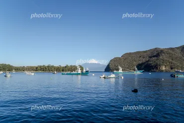 戸田を巡る旅：絶景、グルメ、癒やし…あなただけの旅、見つけませんか？静岡県戸田の魅力を徹底解剖！