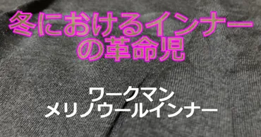 ワークマンのメリノウールインナーのレビュー！サイズは？洗濯 ...