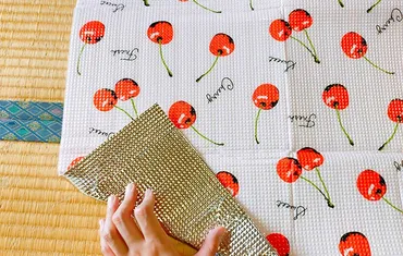 セリアのレジャーシートにはどんなものがあるの？ 使い勝手も ...