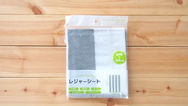 2023年版】100均のレジャーシートで最も使えるのは？おすすめ ...