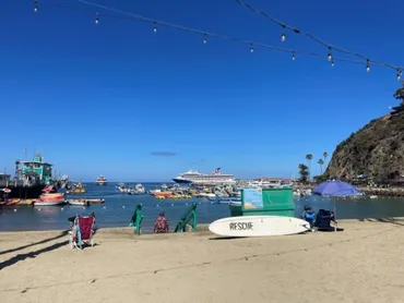 カタリーナ島観光案内：楽園への旅？アバロン、ウィグリー記念館、自然保護