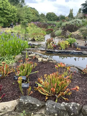 イングリッシュ・ガーデンの本拠地