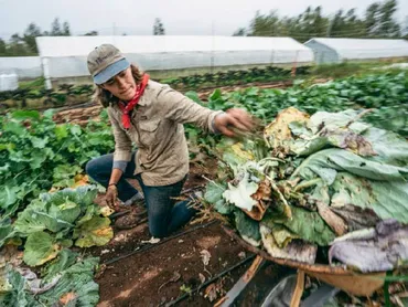 産業用ヘンプ』ウェアがパタゴニアから登場、着る人や環境課題の ...