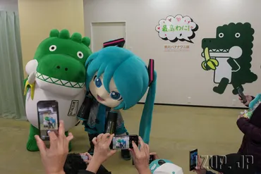 初音ミク（ミクダヨー）が熱川バナナワニ園に来た！ 