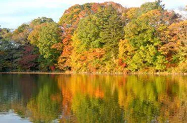 軽井沢タリアセンの紅葉(長野県) 