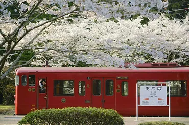 中井精也写真展「Happy Train 〜輝く季節の中で〜」