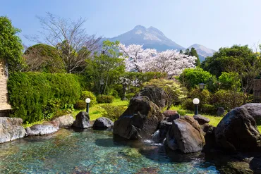 桜と温泉旅行？春の絶景を求めて！おすすめ温泉宿ランキング2024！春爛漫！全国の桜と温泉が楽しめる宿と立ち寄り湯
