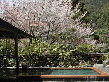 全国】まさに絶景！桜露天ランキング発表！桜絶景が楽しめる至福 ...