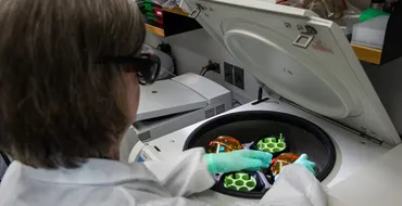 大学教授になるには？博士課程からのキャリアパスと成功するため ...