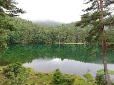 長野県茅野市 【山の宿 明治温泉 御射鹿の湯】