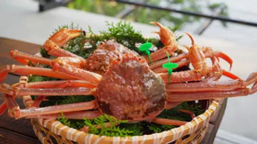 第51回 幻のカニづくし×レトロカフェめぐり ー海の美グルメ ...