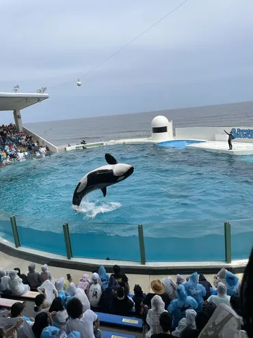 鴨川ワーケーションで叶える、理想の休日？（鴨川シーワールド、絶景、MUJI BASE）鴨川ワーケーション：癒やしの絶景、快適ステイ、多様な働き方