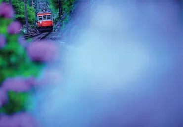 中井精也「ゆる鉄」の世界：鉄道写真の新たな魅力とは？風景と鉄道の調和：中井精也が捉える写真の世界