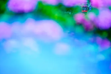 中井精也の ゆる鉄写真館】箱根登山鉄道