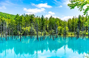 【北海道ハネムーン】新婚旅行におすすめ？予算やベストシーズン、モデルプランを徹底解説！北海道ハネムーンの魅力と賢い旅の計画方法