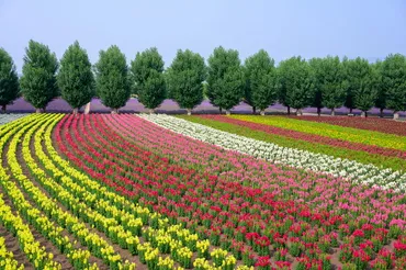 北海道旅行の費用相場はいくら？ベストシーズンや旅費を安く ...