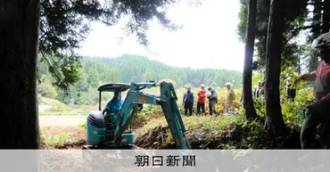 被災地でまいたタネ 「1年続けること」で見えてきた森づくりの未来 石川県 能登半島地震:朝日新聞