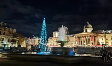 ロンドン市内のクリスマスツリー 注目の6選