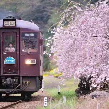 群馬・わたらせ渓谷鐵道と全国の春爛漫な鉄道旅！どこへ行く？（鉄道、春、絶景）春の絶景！わたらせ渓谷鐵道と全国の鉄道旅