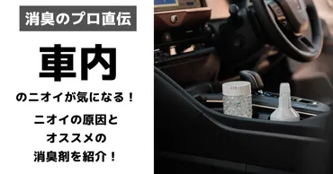 車の中が臭くなる原因とは？汗・食べ物・ペット臭の消し方