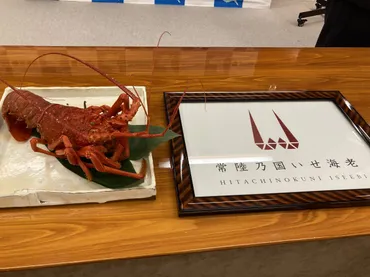「常陸乃国いせ海老」ブランド化へ ネーミング 茨城県産伊勢エビ消費拡大へ
