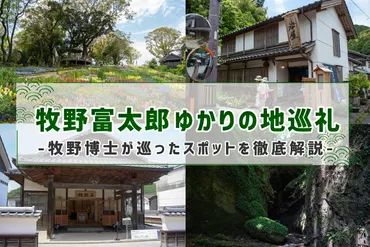 高知と牧野富太郎博士：植物への情熱と足跡を巡る旅？植物学者・牧野富太郎博士ゆかりの地を巡る旅