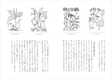オリジナル普及版 牧野日本植物圖説集』(三四郎書館) 
