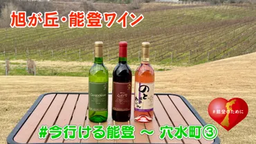 今行ける能登〜穴水編③ かき料理に合うワインとは？ 