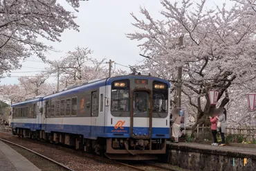 のと鉄道 能登鹿島駅の桜 愛称は「能登さくら駅」