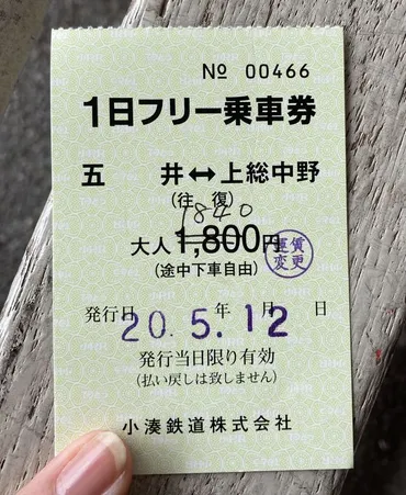 小湊鉄道の旅！ノスタルジックな風景とローカル線の魅力を満喫できる？春爛漫！小湊鉄道沿線の絶景を巡る旅