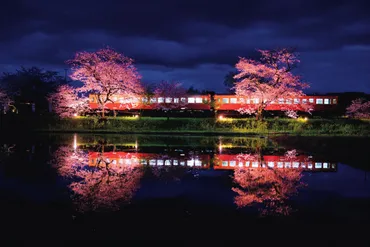 水鏡に映る桜の駅