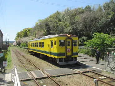 2024年春のいすみ鉄道と小湊鉄道の桜と菜の花 