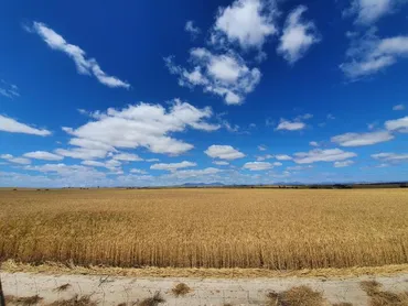 オーストラリアの水事情 ～節水マナー違反しやすい日本人に忠告！～ 