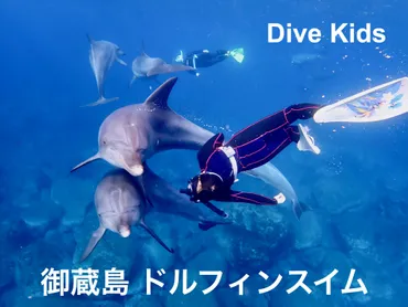 御蔵島ドルフィンスイムツアー