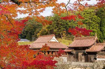 旧閑谷学校の紅葉の見どころとイベント情報！ライトアップやアクセス方法も？秋の旧閑谷学校 紅葉とライトアップ