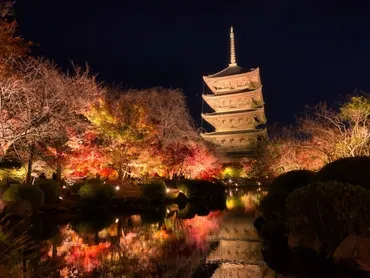 東寺 紅葉ライトアップと金堂・講堂夜間特別拝観で撮ってきた画像を何も考えずに貼ってみた