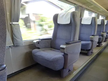 高山～富山】キハ85系の特急「ひだ」をパノラマグリーン車で 